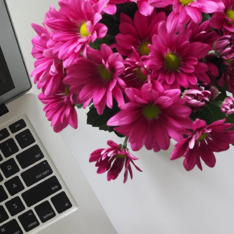 Pink flowers with computer