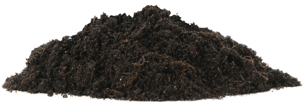 Soil Mound