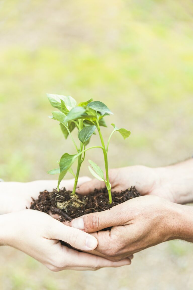 Two pairs of hands together hold a clump of soil with plant sprouts growing from it